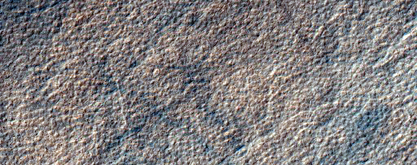 Looking for Gullies
