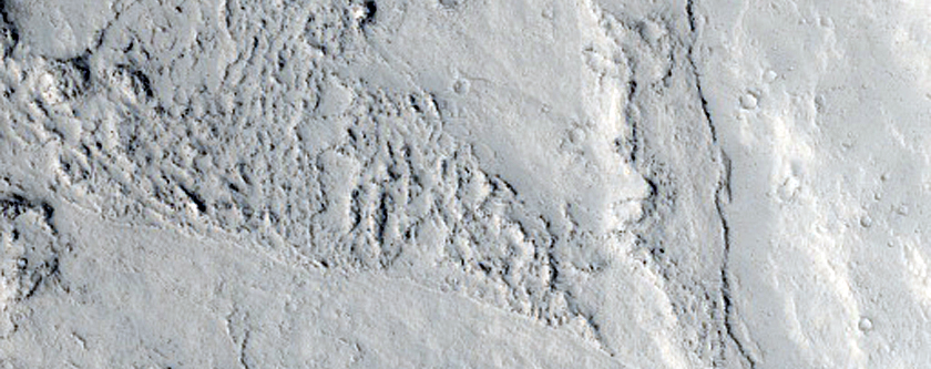 Elysium Planitia
