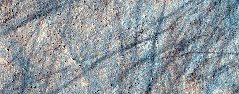 Terrain Sample
