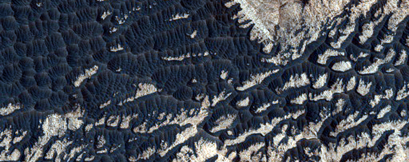 Jointed Region in Candor Region
