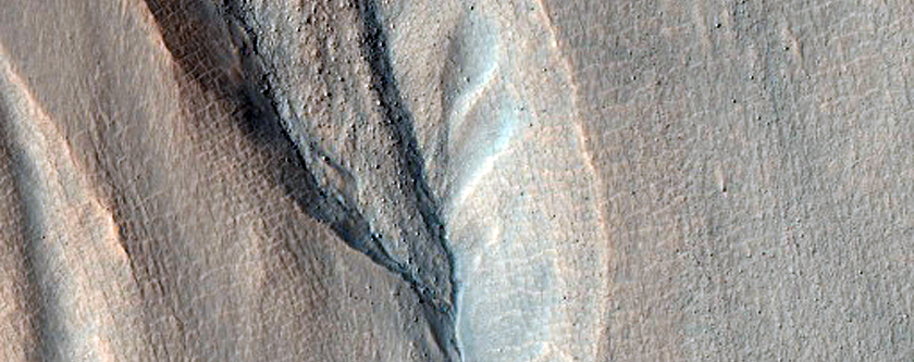 Gullies
