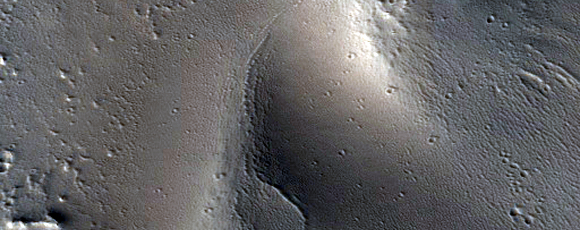 Tractus Fossae
