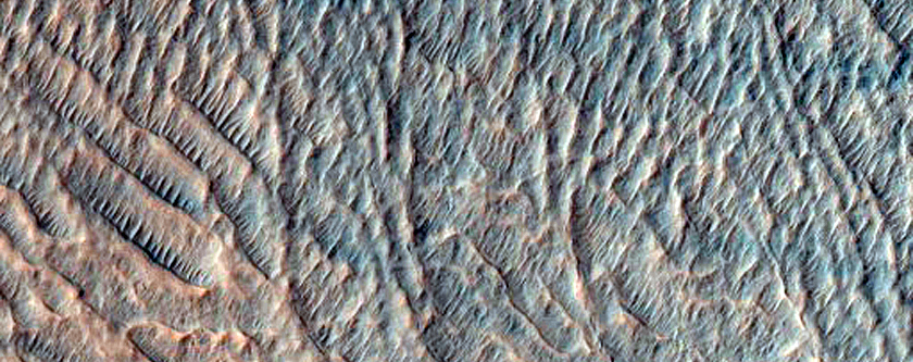 Gullies in a Southern Mid-Latitude Crater