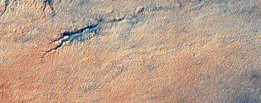 Spider and Other Interesting Topography
