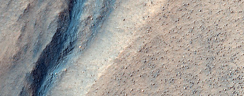 Gully in Charitum Montes