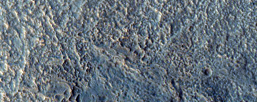 Tiny Branched Channels in Northeastern Hellas Planitia
