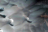 Dunes Dubbed Buzzel
