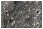 Possible Landing Site for InSight Mission
