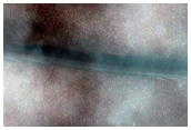 Track Dune Changes in Chasma Boreale
