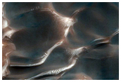 Dunes Dubbed Buzzel
