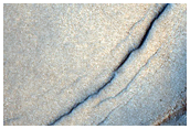 Acidalia Planitia
