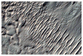 Gully Monitoring
