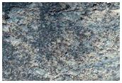 Light-Toned Layering in Plains South of Melas Chasma
