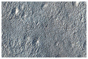 Infilled Crater with Overlying Secondary Craters in Arcadia Planitia
