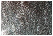 Layered Deposits in North Polar Cap
