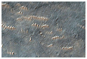 Possible Future Landing Site in Margaritifer Terra
