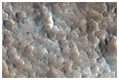 Monitor Gullies and Steep Slopes
