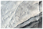 Raised Volcanic Ridges North of Syrtis Major Region
