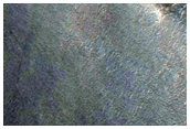 Acidalia Planitia
