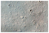 Monitoring New Impact Site
