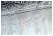 Slope Lineae Monitoring
