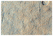 Utopia Planitia Surface
