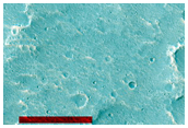 Source Region of Nanedi Valles
