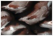 North Polar Dunes
