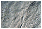 Gully Monitoring
