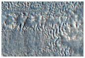 Gullies along Mesa Wall in North Tempe Terra
