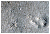 Thick Flow in Protonilus Mensae
