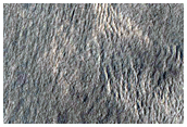 Lines of Pits Near Mound in Protonilus Mensae
