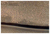 Track Dune Changes in Chasma Boreale
