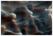 Dunes Dubbed Buzzel
