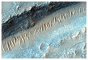Landforms in the Northeast Syrtis Major Region
