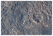 Gullies along Mesa Wall in North Tempe Terra
