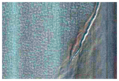 Gully Monitoring
