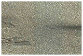 Track Dune Changes in Chasma Boreale
