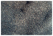 Polar Dunes
