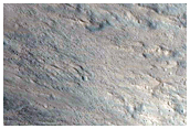 Gully Monitoring
