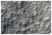 Small Fresh Crater

