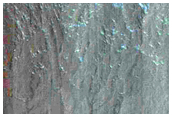 Gully Monitoring
