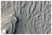 Layered Mesas in Lycus Sulci

