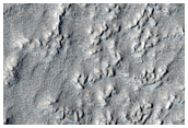 Protonilus Mensae
