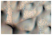 Polygons and Dune Monitoring
