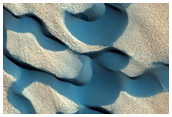 Dunes Dubbed Kolhar
