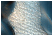 Monitoring in North Polar Dune Field

