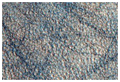 Northern Plains Terrain
