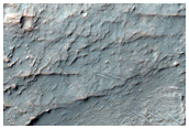 Large-Scale Scarps
