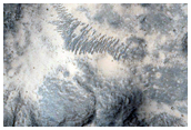 Impact Crater North of Isidis Planitia

